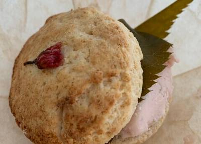 TAYORI BAKE