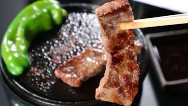 食事・飲み物 / 14