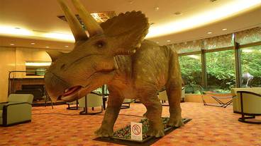 子供向けアクティビティ / 14