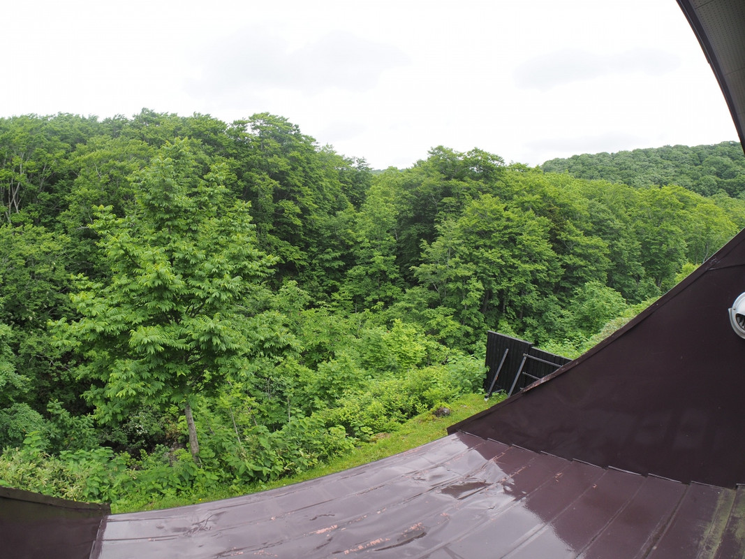 窓からは沢景色