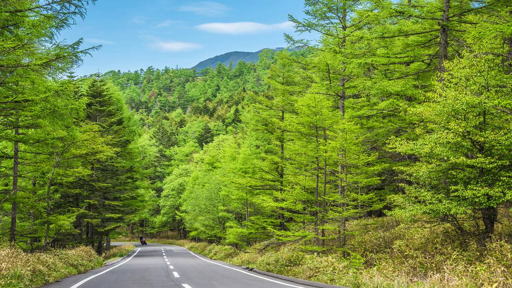 メルヘン街道 / 2