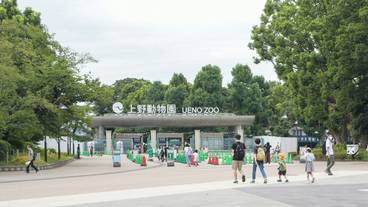 観光スポット / 5