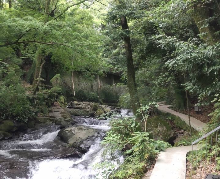 万葉公園 / 1