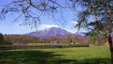 観光スポット / 11