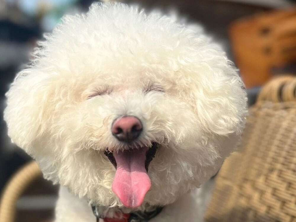 メイン イメージ