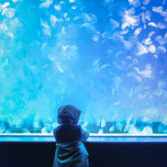 海を楽しむ「大洗」の子連れにおすすめホテル・旅館9選【茨城】