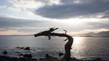 施設からの眺望 / 17