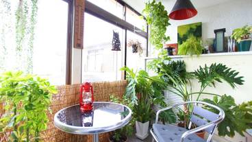 テラス / パティオ / 8