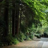 紫陽花温泉旅館（神奈川県 旅館） / 4