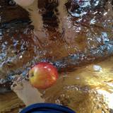 りんご足湯（リンゴアシユ）