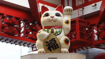 シティ ビュー / 14