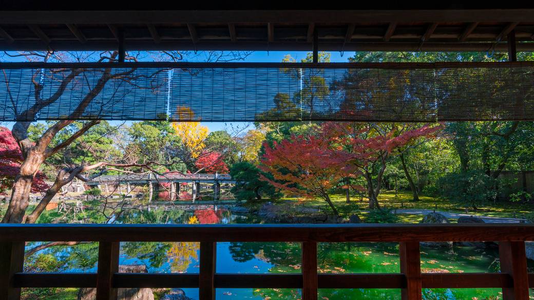 京都御苑 / 4