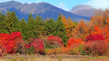 マウンテン ビュー / 19