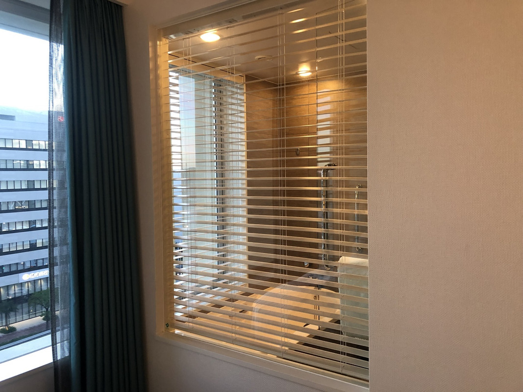 室内からもバスルームが見えます