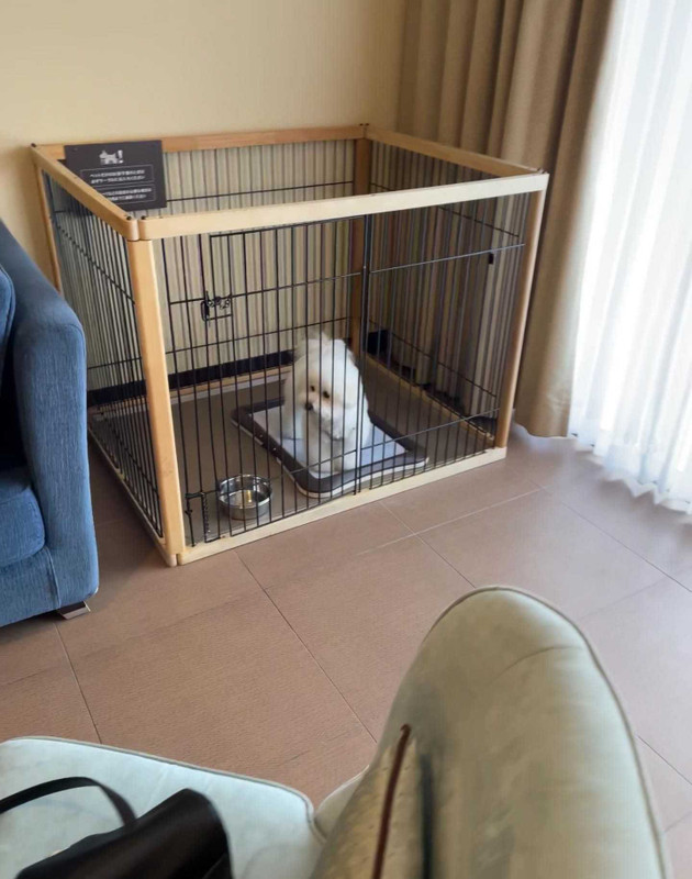 お部屋に備え付けのペットサークルは、入浴や食事などで外出する際に便利 / 3