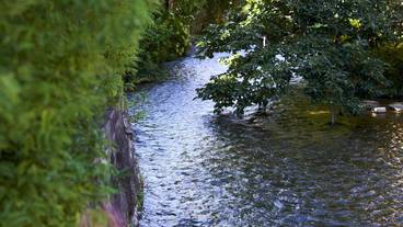 施設からの眺望 / 38