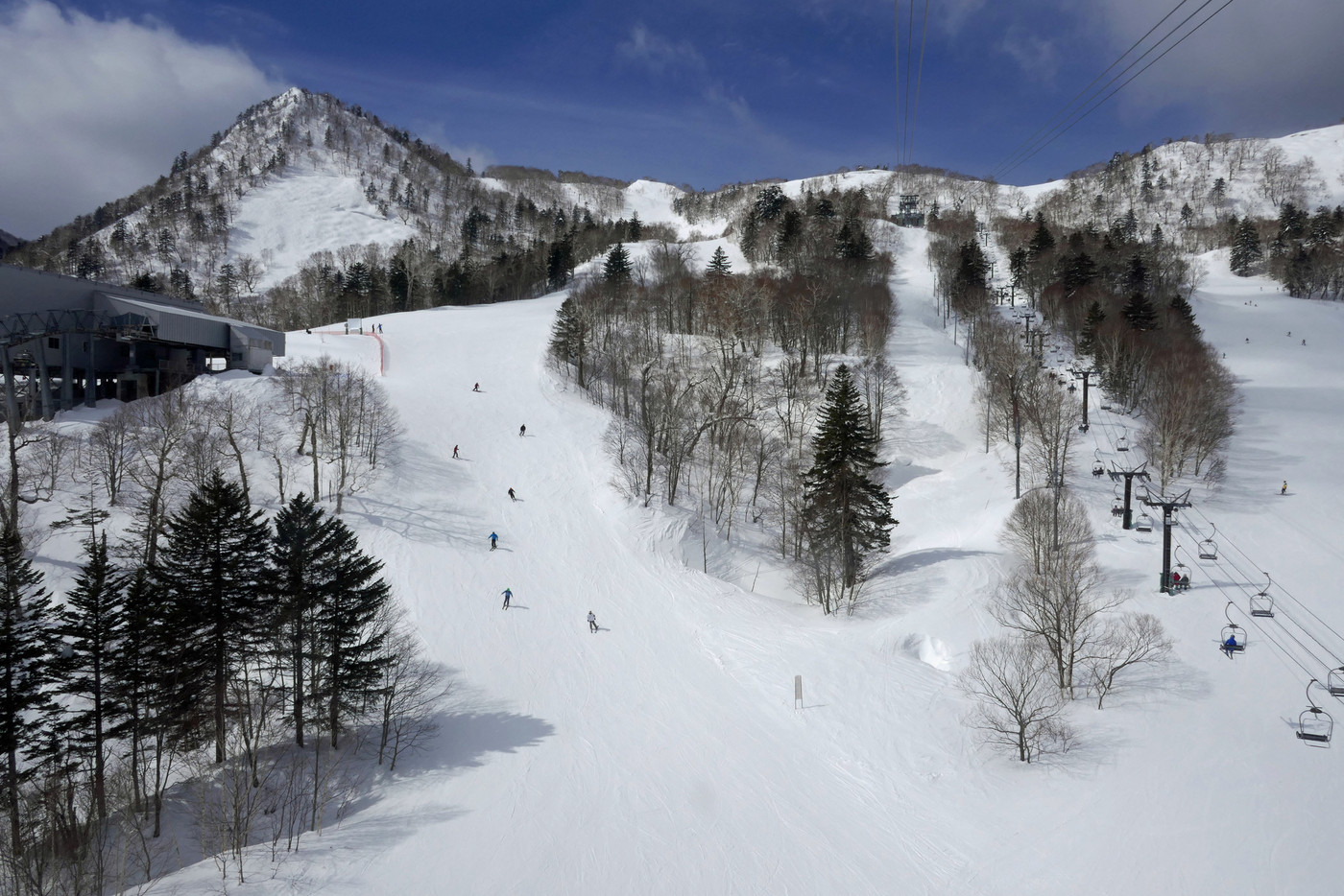富良野スキー場 ロープウェイから見るゲレンデ