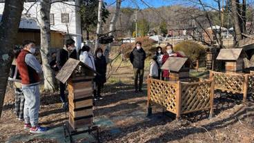 養蜂場の見学 / 4