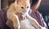 鉄輪温泉 かんなわ ゆの香（レトロ館）（カンナワ ユノカ）
