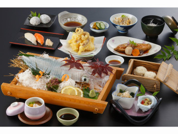 佐賀県の代表食！イカ活造りと佐賀牛を一度に堪能4760262