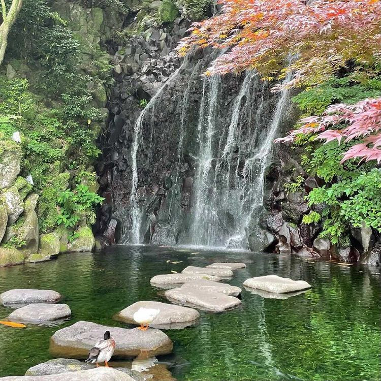 saho_bambi.0717さんの写真 / 1