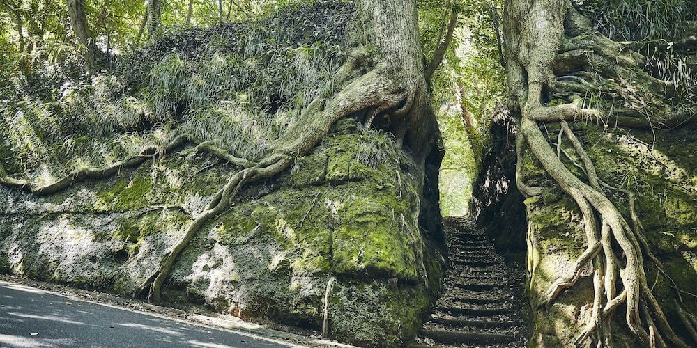 施設からの眺望