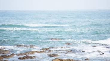 ビーチ / オーシャン ビュー / 16