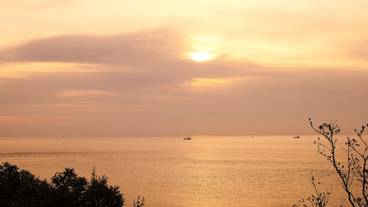 ビーチ / オーシャン ビュー / 9