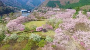 ランド ビュー / 19