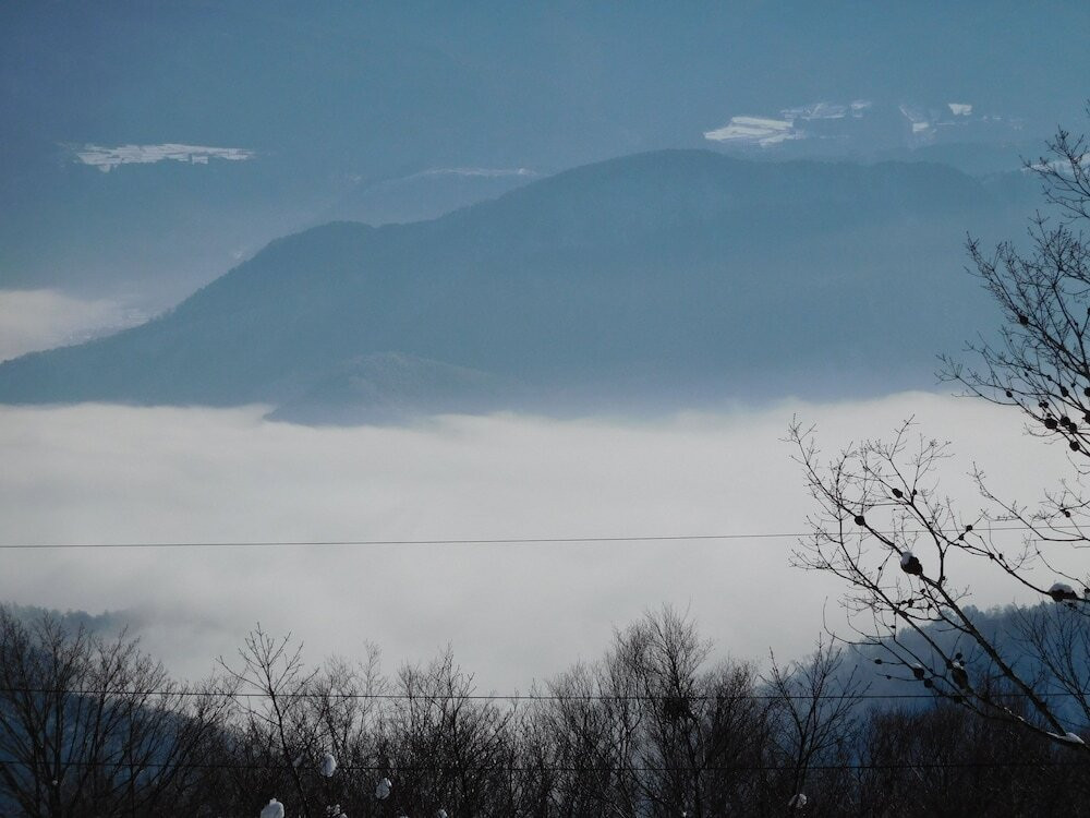 マウンテン ビュー
