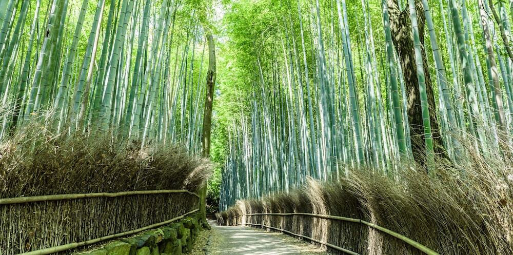 宿泊施設の地図