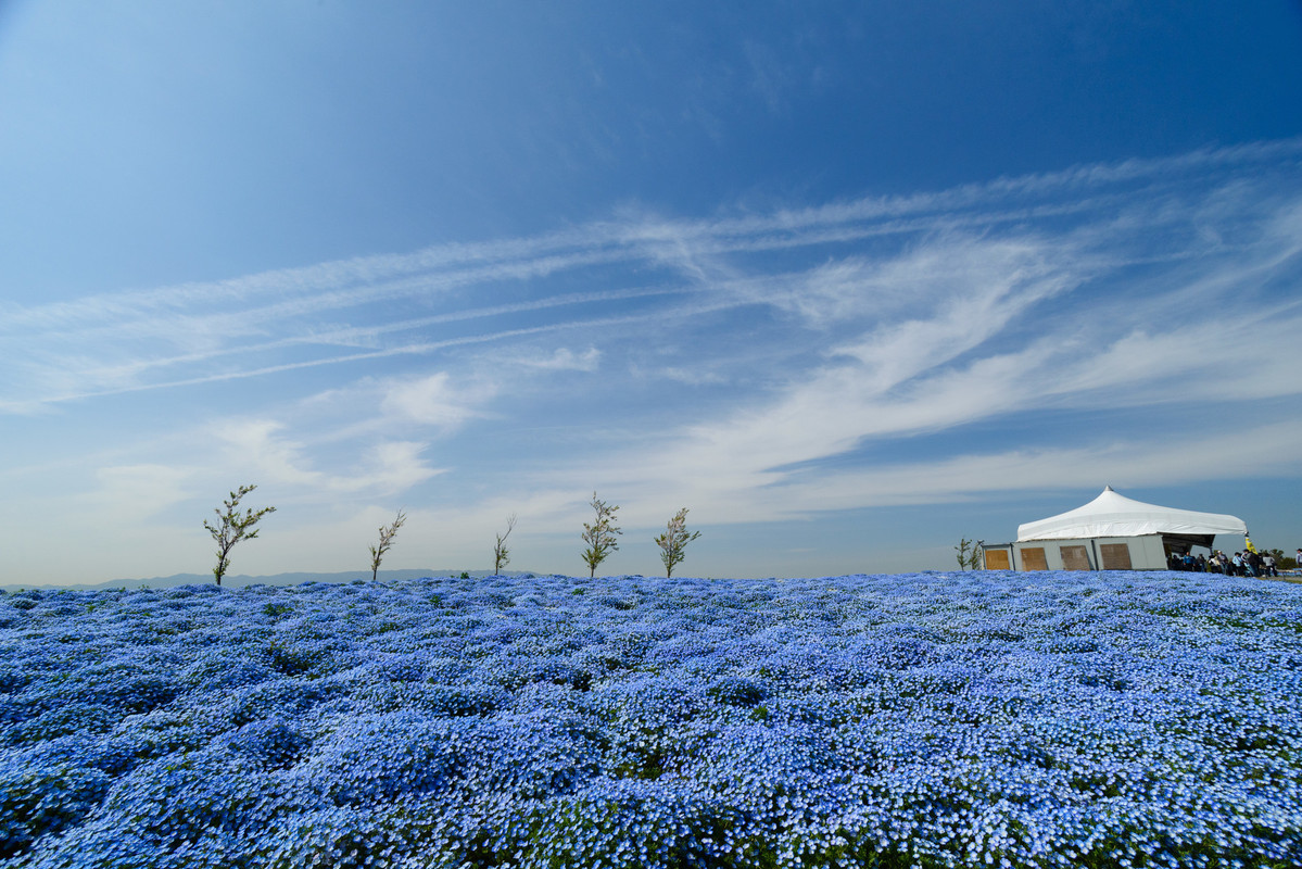 大阪まいしまシーサイドパーク②