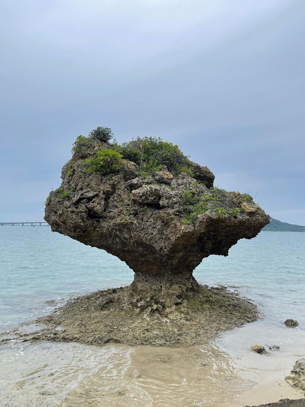 24hironさんの写真 / 1