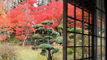 施設からの眺望 / 16