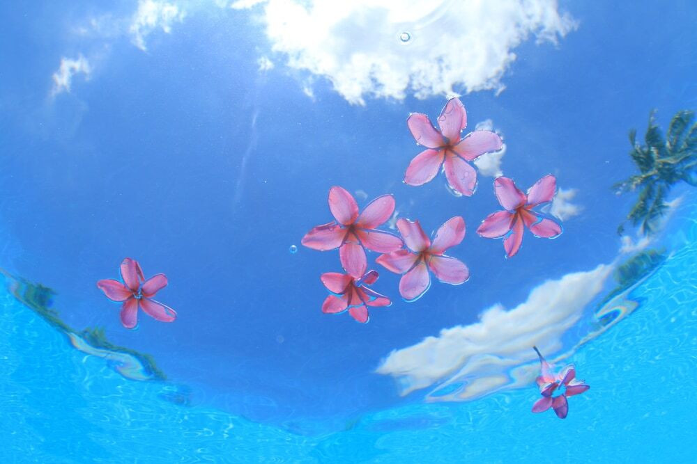 ココ ガーデンリゾート オキナワ（ココガーデンリゾートオキナワ） / 6