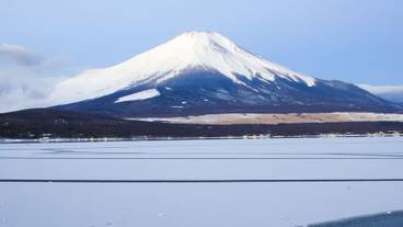ランド ビュー / 31