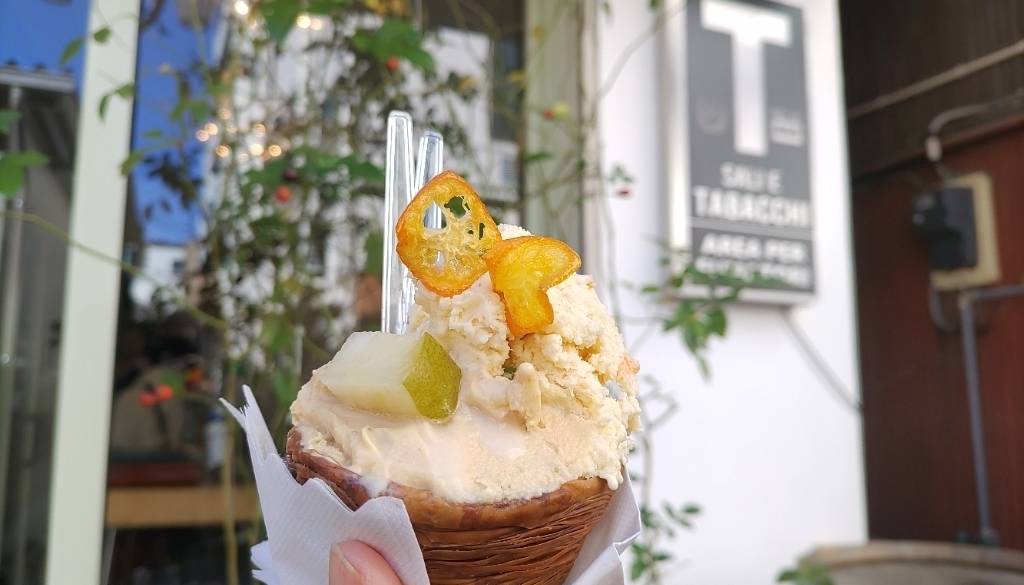 箱根ドルチェスタジオ ステラ② / 5