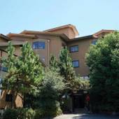 桜の館ホテル（山梨県 旅館） / 3