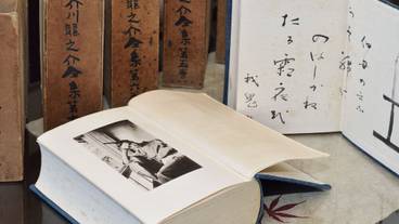 内装の詳細 / 15