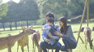 子供用の遊び場 - 屋外 / 7