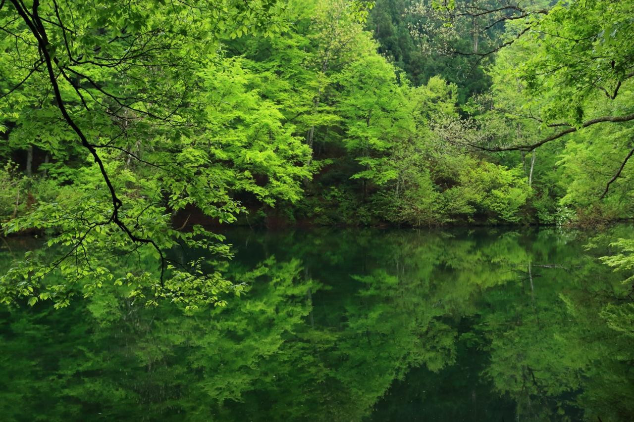 4. 絶景にパワースポットも！透明すぎる神秘の湖「龍ヶ窪（りゅうがくぼ）」1738609