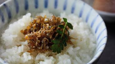 食事・飲み物 / 7