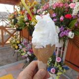 コナン ジェラート（コナンジェラート）