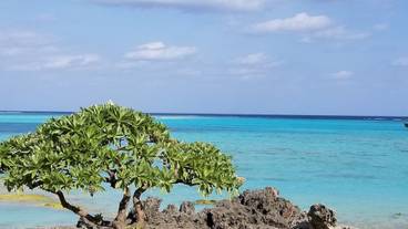 施設からの眺望 / 37