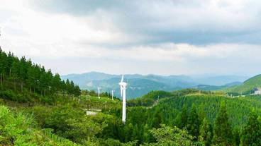 ランド ビュー / 40