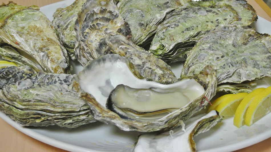 ここで過ごす穏やかな時間が全てを浄化してくれる3410902