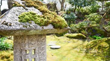 施設からの眺望 / 25