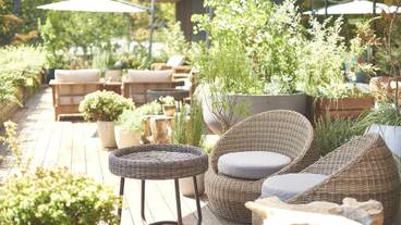 ロビーテラス / 2