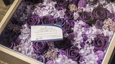 客室の設備とサービス / 29