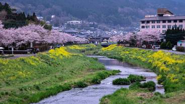 ランド ビュー / 32